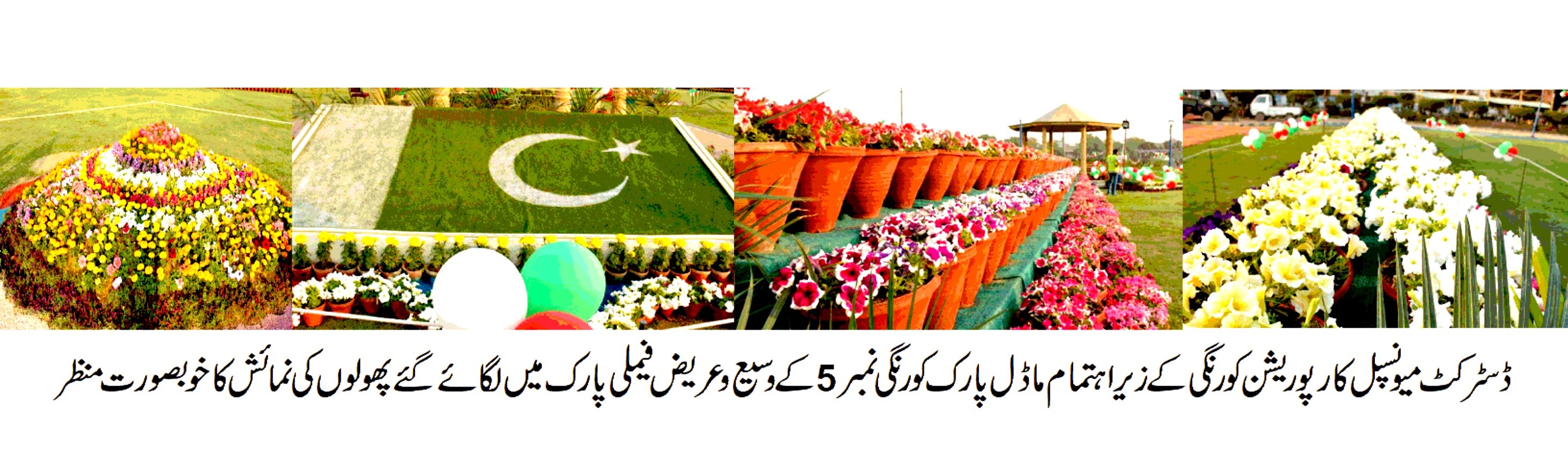 Flower Show & Family Festival