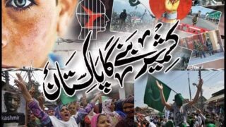 Kashmir Solidarity Day