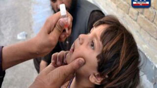 Polio Vaccine