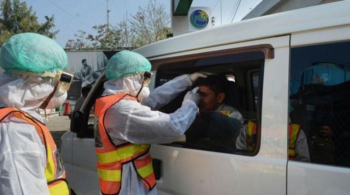 Corona in Sindh