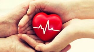 Heart