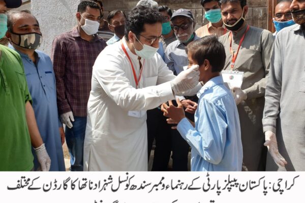 ٹائیگر فورس کے نام سے ہی سیاسی جھلک نظر آتی ہے، رہنماء پیپلز پارٹی