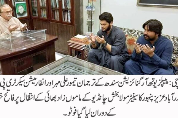 غریب لوگوں سے زبر دستی عمران خان زندہ باد کے نعرے لگوائے گئے،  تیمور علی