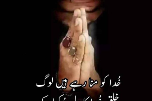 میری دنیا میری مرضی