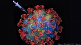 Coronavirus