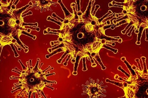 کیا وٹامن ڈی کورونا وائرس سے بچاتا ہے؟ ماہرین میں بحث جاری