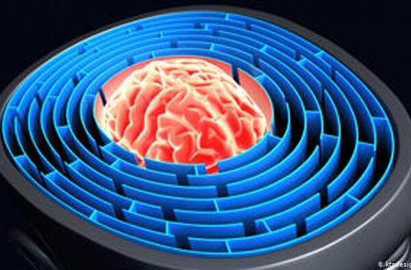 ہماری یادداشت کیسے کام کرتی ہے؟