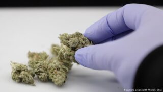 Medizinisches Cannabis