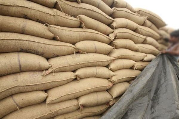 سندھ میں سرکاری گوداموں سے 5 ارب 35 کروڑ روپے سے زائد مالیت کی گندم غائب
