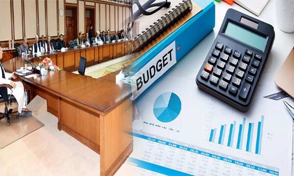 پاکستانی بجٹ ٢٠٢٠ئ۔ ٢٠٢١ء پر تبصرے