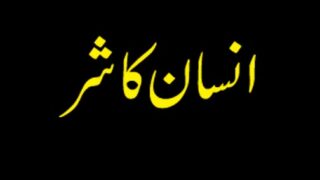 Insaan ka Shaar