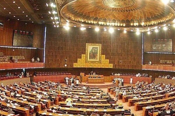 قومی اسمبلی میں دنگل، پی پی رہنما نے کوٹ اتار دیا، علی زیدی کو لڑنے کا چیلنج