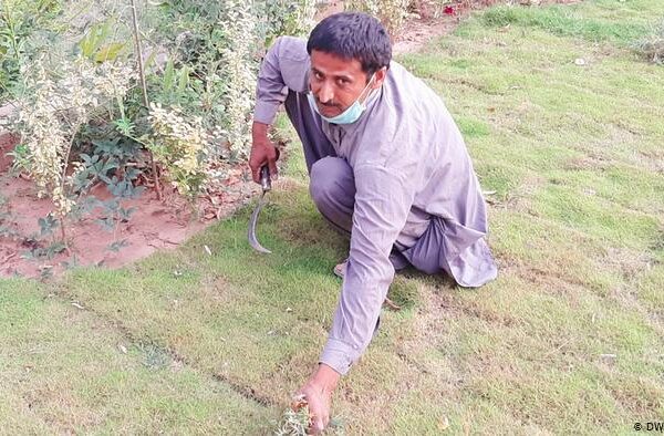 ایک طرف کورونا، دوسری طرف بے روزگاری