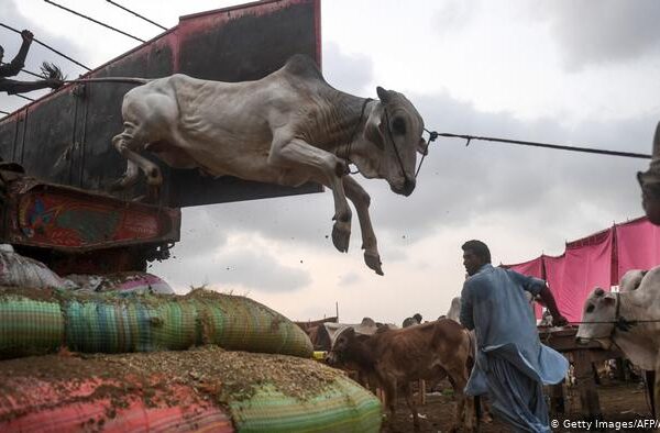 کیا عیدالاضحیٰ پر پاکستان میں کورونا وائرس کا پھیلاؤ بڑھ سکتا ہے؟