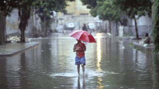 Rains