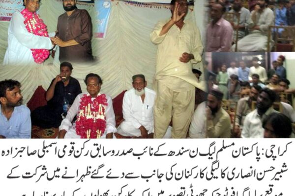 مسلم لیگ ن سندھ نے ملک میں نئے انتخابات کا مطالبہ کر دیا