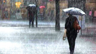 Rain
