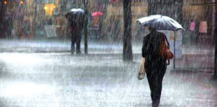 Rain
