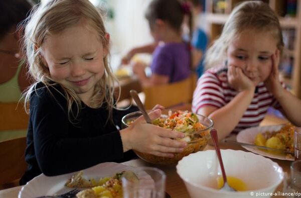 کیا صرف سبزی خوری صحت کے لیے نقصان دہ ہے؟