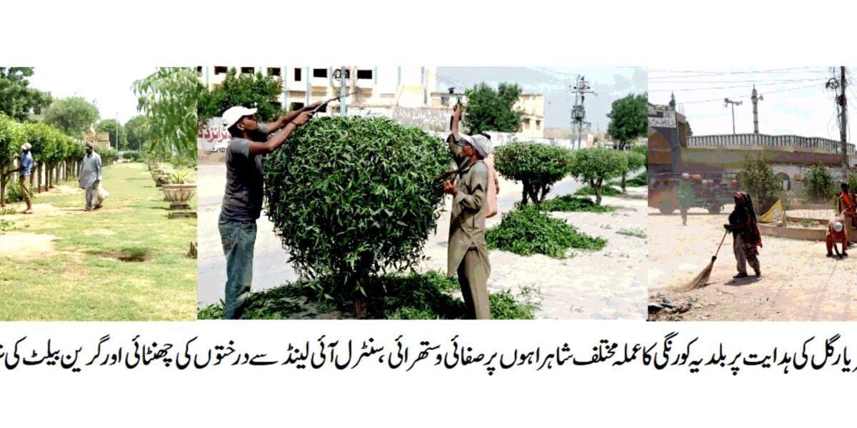 DMC KORANGI KARACHI