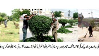 DMC KORANGI KARACHI