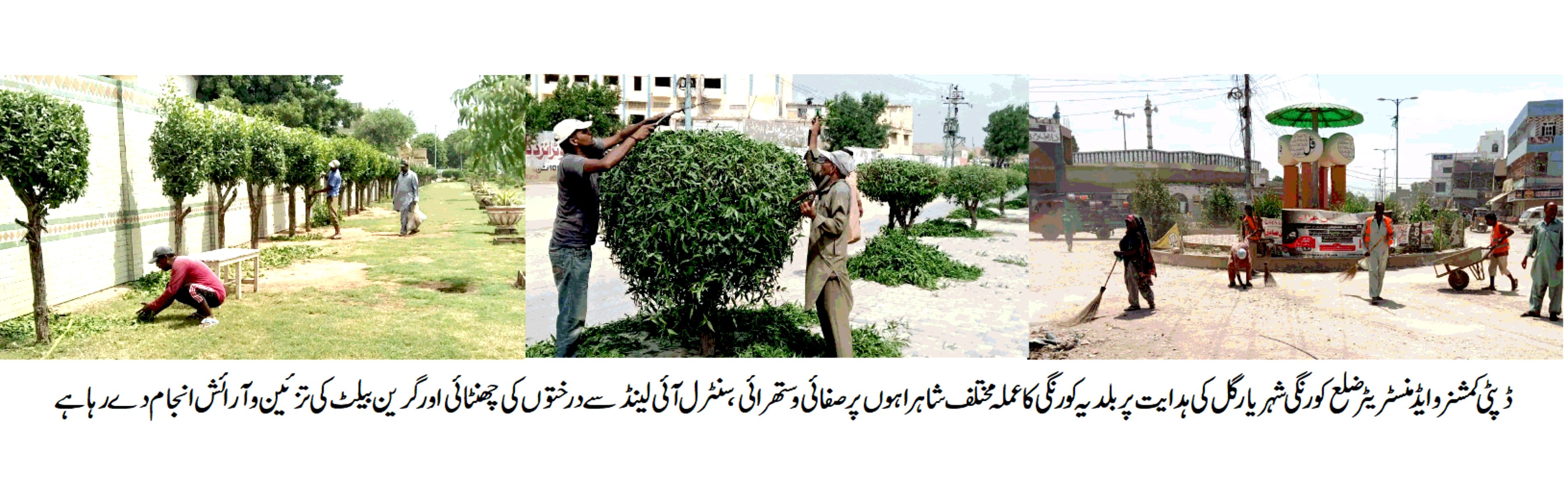DMC KORANGI KARACHI