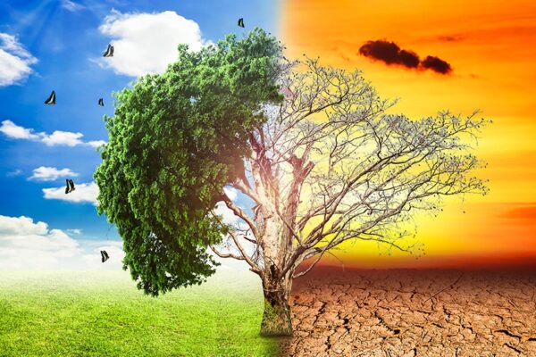 گلوبل وارمنگ  21ویں صدی کا بڑا چیلنج