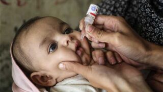 Polio Campaign