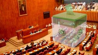 Senate Elections