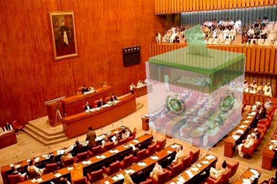 Senate Elections