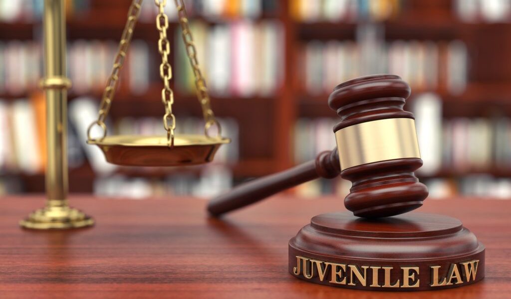 Advocacy - Lawyer