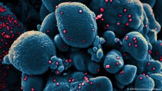Coronavirus
