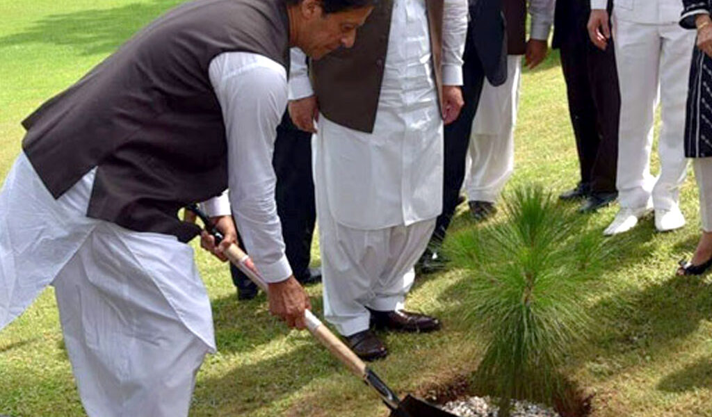 Green Pakistan