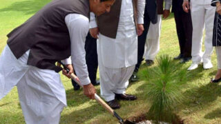 Green Pakistan