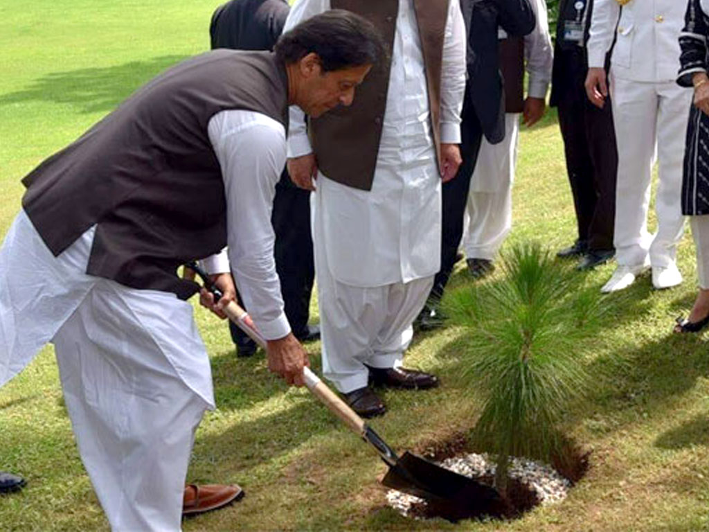 Green Pakistan