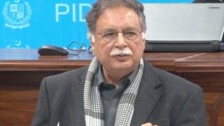 Pervez Rashid