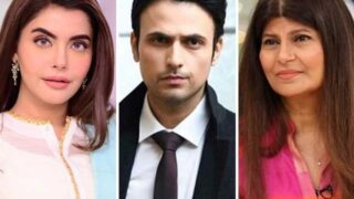 Pakistani Artist