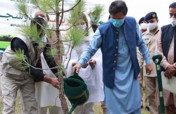 بلین ٹری منصوبے کی تمام تفصیلات سپریم کورٹ میں پیش کرنے کا فیصلہ