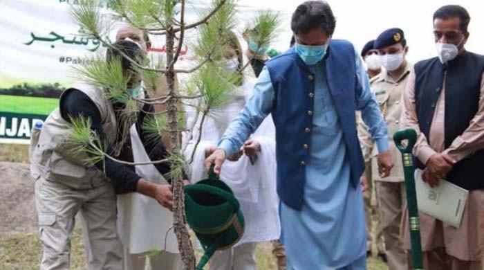 Billion Tree Project