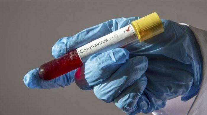 Corona Virus