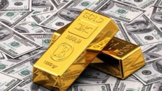 Dollar