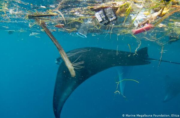 زمین کی حیاتیاتی جہتوں کا تحفظ وقت کی ضرورت