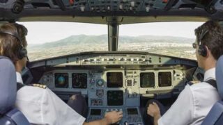 Pilots