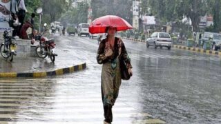 Rains