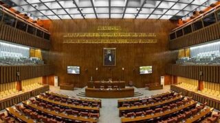 Senate Election