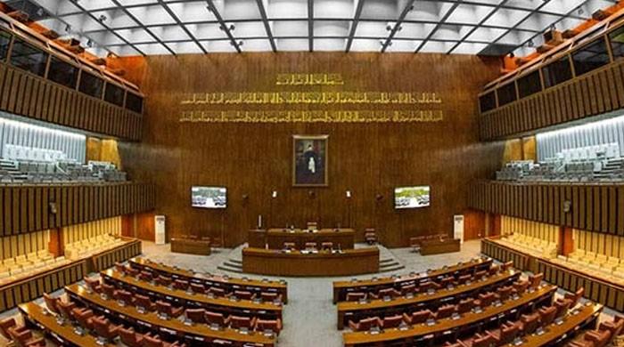 Senate Election