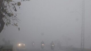 Fog