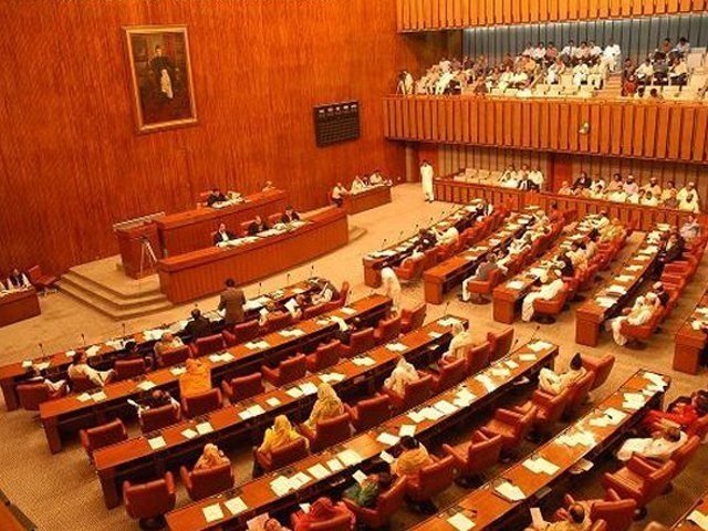 Senate Election