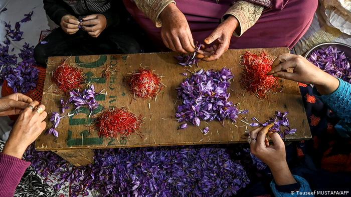 Kashmir