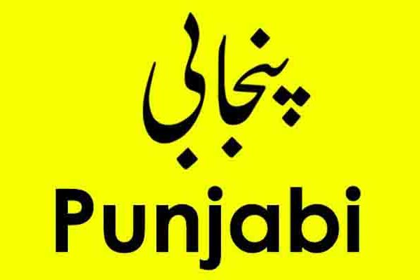 کیا ماں بولی پنجابی کے نفاذ کے لیے چیخنا پڑے گا
